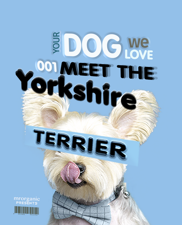 your dog we love issue 001- meet the Yorkshire terrier - 遇上了約瑟爹利