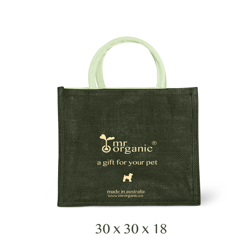 large shopping bag  大帆布購物袋  30 x 30 x 18cm